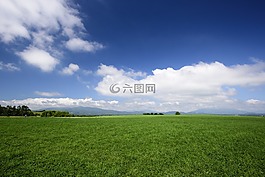 藍色的天空,綠色,草