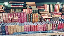 書籍,巴黎,法國