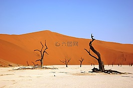 deadvly,納米比亞,沙漠
