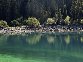湖,bergsee,綠色