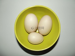 蛋,鴨蛋,大蛋