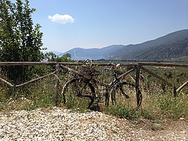 自行車,生疏,籬笆