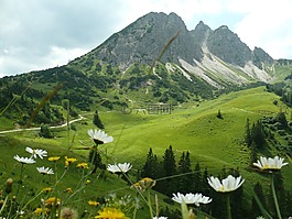 山,全景,徒步旅行