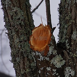 鋸分公司,分公司搬遷,存根