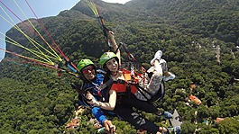 飛行,雙,巴西