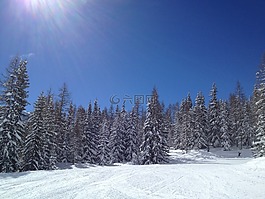 滑雪,雪,太陽