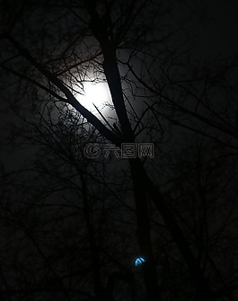 月亮,月光,夜