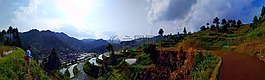 貴州,梯田,風景