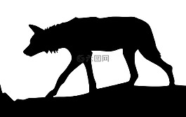 危險,豹,動物
