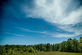 森林,景觀,天空