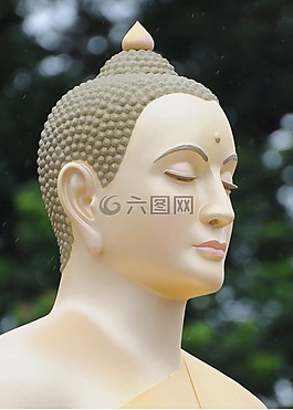 佛,佛教徒,打坐