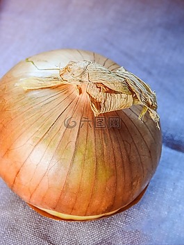 食品,蔬菜,燈泡