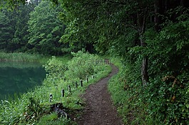 湖 shibire,车道,湖
