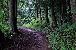 湖 shibire,车道,自然