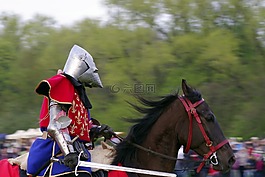 騎士,安裝,這匹馬