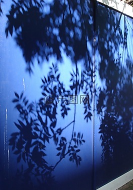 影子,叶子,蓝色