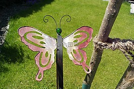 蝴蝶,數字,花園