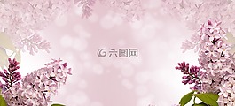 自然,花,植物区系