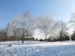 冰雪,树挂,蓝天
