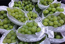 葡萄,馬斯喀特,多汁