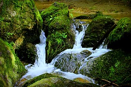 水,石頭,苔