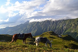 馬,山,性質