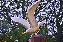 鳥,樹,野生