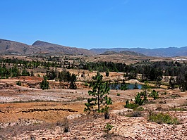 公園,景觀,藍(lán)井