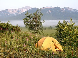 夏季,森林,湖