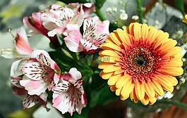 鮮花,花束,花香
