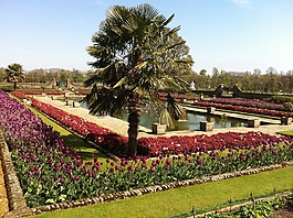 肯辛頓花園,倫敦,英格蘭
