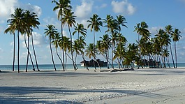 lankanfushi,maldivermna,天堂島