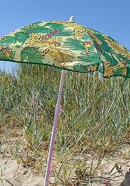 海灘,夏季,太陽(yáng)