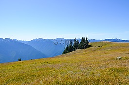 美國,華盛頓,颶風(fēng)嶺
