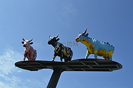 牛肉,農(nóng)業(yè),公牛