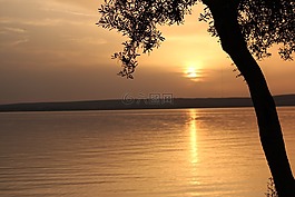 姆,火雞,海洋