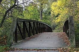 科爾,montalbo,橋