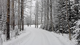 冬天,白,雪