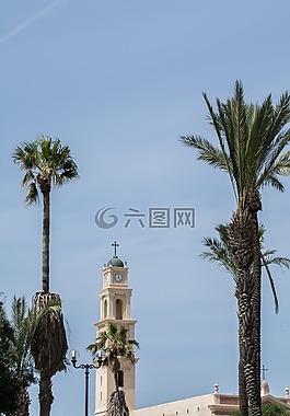 教會,塔,棕櫚樹
