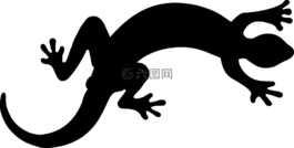 動(dòng)物,壁虎,蜥蜴