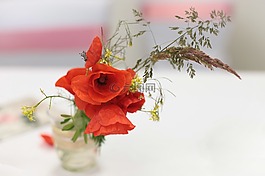 罌粟,花,婚禮