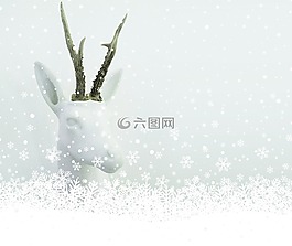 圣誕節(jié),雪,白