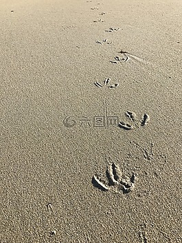 砂,海,借力