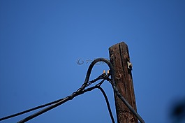 電纜,column,褐色