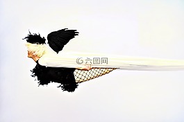 翅膀,女子,金發(fā)女郎