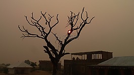 日落,沙漠,營