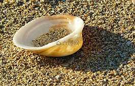 外殼,關(guān)閉,海灘