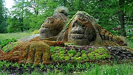 邁瑙,石數(shù)字,性質(zhì)