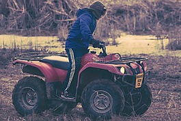 男孩,發(fā)動機(jī),招待