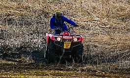 男孩,招待,發(fā)動(dòng)機(jī)